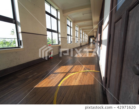 Toyosato Elementary School Old School Buildings 42971620