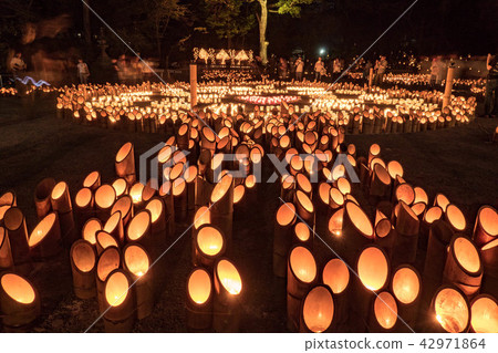 Bamboo light night Kinokuni Ichinomiya Ita Shogoso Shrine Bamboo light night Kinokuni Ichinomiya Ita Shogoso Shrine 42971864