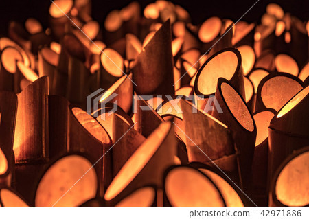 Bamboo light night Kinokuni Ichinomiya Ita Shogoso Shrine Bamboo light night Kinokuni Ichinomiya Ita Shogoso Shrine 42971886