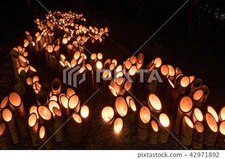 Bamboo light night Kinokuni Ichinomiya Ita Shogoso Shrine Bamboo light night Kinokuni Ichinomiya Ita Shogoso Shrine 42971892