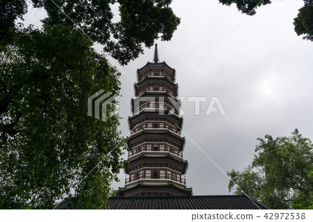 Temple of the six banyan trees 42972538