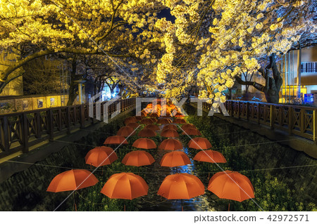 yeojwacheon stream in jinhae 42972571