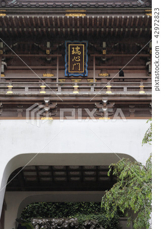 雨中的江之島，Esashima Shrine Ruisamon 42972823