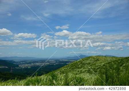 從多摩山景觀 42972898