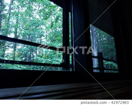 Forest seen from a window with a mysterious atmosphere 42972963