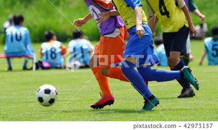 足球足球 足球足球 42973137