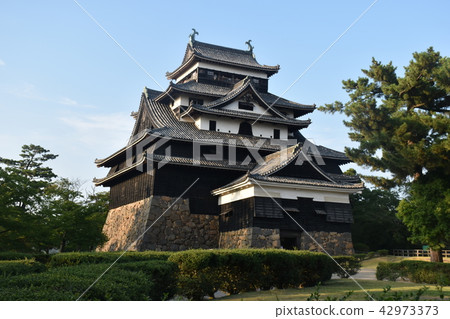 松江城 松江城 42973373