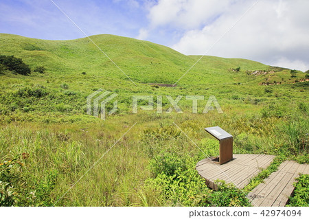 公平的天氣Hirodadi Hiroya沼澤 42974094