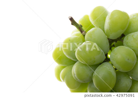 Fruit grape variety: Shine Muscat 42975091