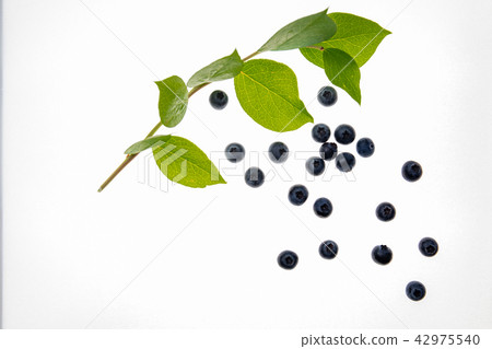Fruit blueberries 42975540