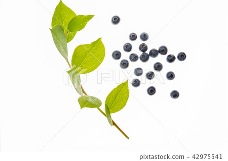 Fruit blueberries Fruit blueberries 42975541