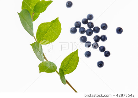 Fruit blueberries Fruit blueberries 42975542