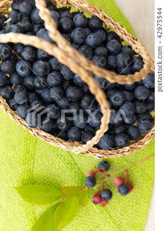 Fruit blueberries Fruit blueberries 42975544