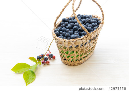 Fruit blueberries 42975556
