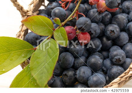 Fruit blueberries Fruit blueberries 42975559