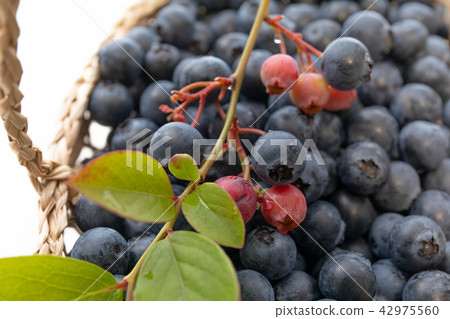 Fruit blueberries Fruit blueberries 42975560