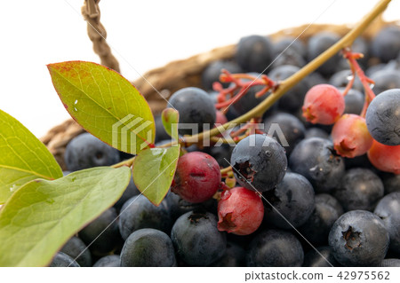 Fruit blueberries 42975562