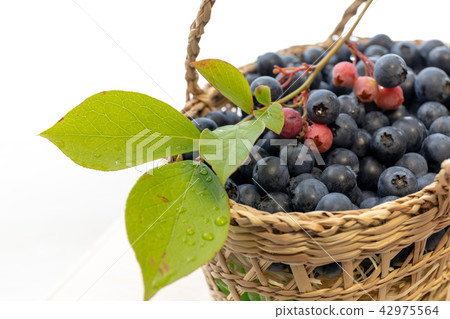 Fruit blueberries Fruit blueberries 42975564