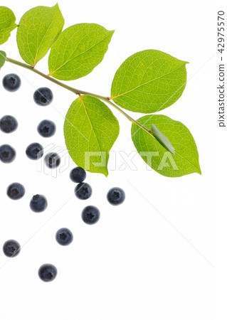 Fruit blueberries 42975570