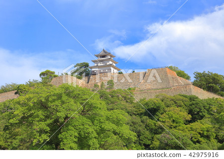 Marugame Castle under fine weather 42975916