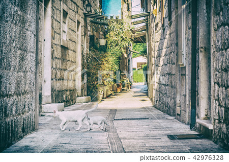 Narrow street in historic Trogir, Croatia, filter Narrow street in historic Trogir, Croatia, filter 42976328