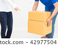 Woman receiving package from delivery man 42977504