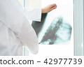 doctor examining about lungs with x-ray film  42977739