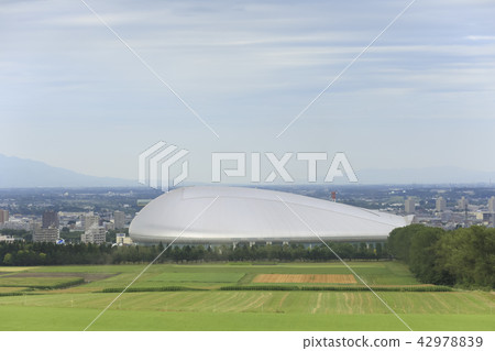 View from Sapporo Dome Yankee Observatory 42978839