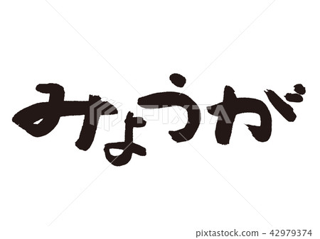 姜刷字母 姜刷字母 42979374