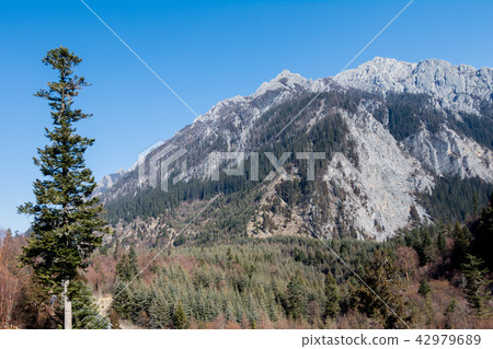 Mountains against the blue sky Mountains against the blue sky 42979689
