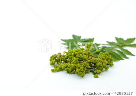 Spice Pepper Sake Pepper Spice Pepper Sake Pepper 42980137