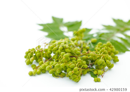 Spice Pepper Sake Pepper 42980159