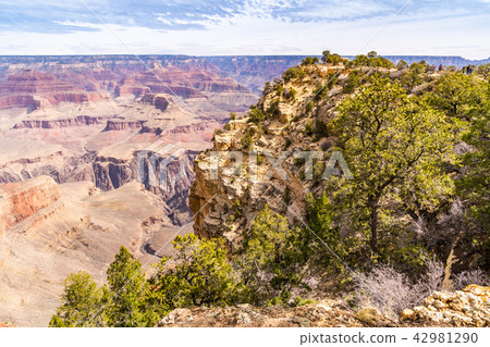 South rim of Grand Canyon 42981290