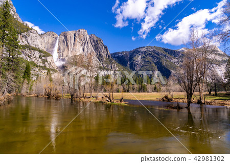 Yosemite National Park Yosemite National Park 42981302