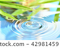 Water droplets 42981459