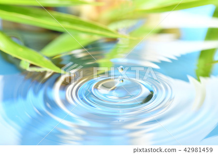 Water droplets 42981459
