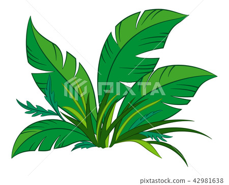 Plant with Green Leaves 42981638