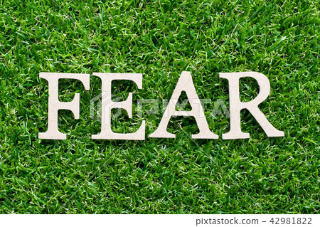 Wood alphabet in word fear on green grass Wood alphabet in word fear on green grass 42981822