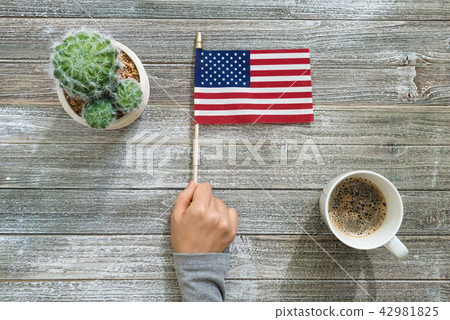 Person holding an American flag 42981825