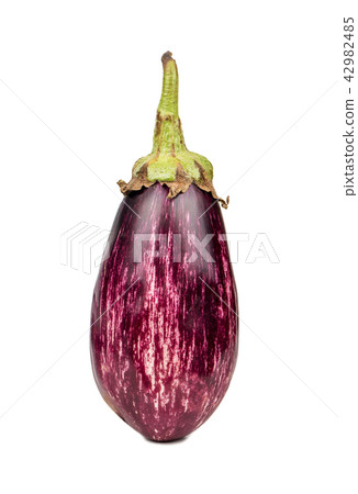 Fresh purple eggplant Fresh purple eggplant 42982485