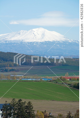 多雪的山脈和秋天的地面Daisetsuyama 多雪的山脈和秋天的地面Daisetsuyama 42982816