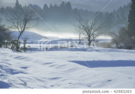 冬天的冷空氣 42983263