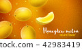 Honeydew melon sweet fruits flavour banner design 42983419