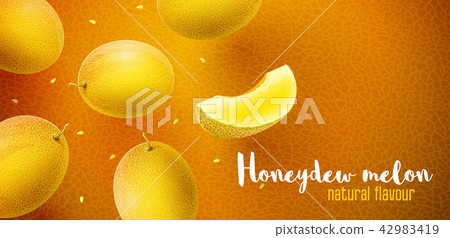 Honeydew melon sweet fruits flavour banner design 42983419