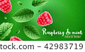 Fresh green mint leaves and raspberry on banner 42983719
