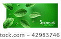 Fresh green mint leaves on banner design 42983746