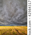 Clouds over the field. 42984317