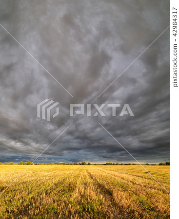 Clouds over the field. 42984317