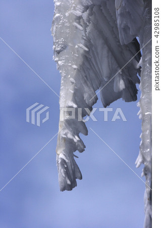 雪花桿 42985108