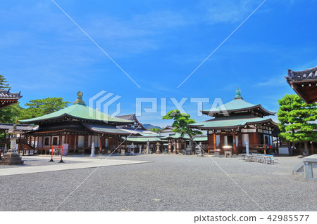 善通寺　誕生院 42985577